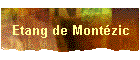 Etang de Montzic